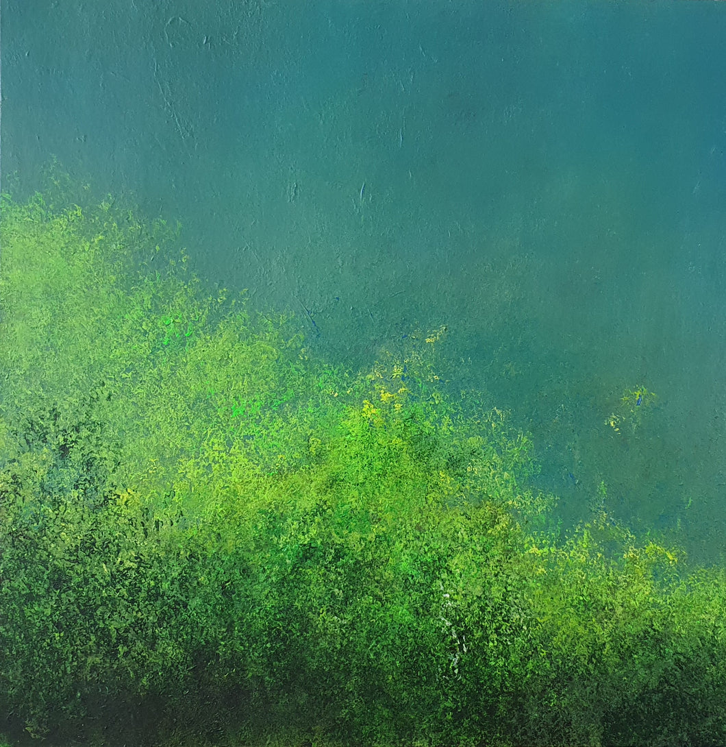 Beauty and mystery of the Landscape 14 100cm/ 100cm