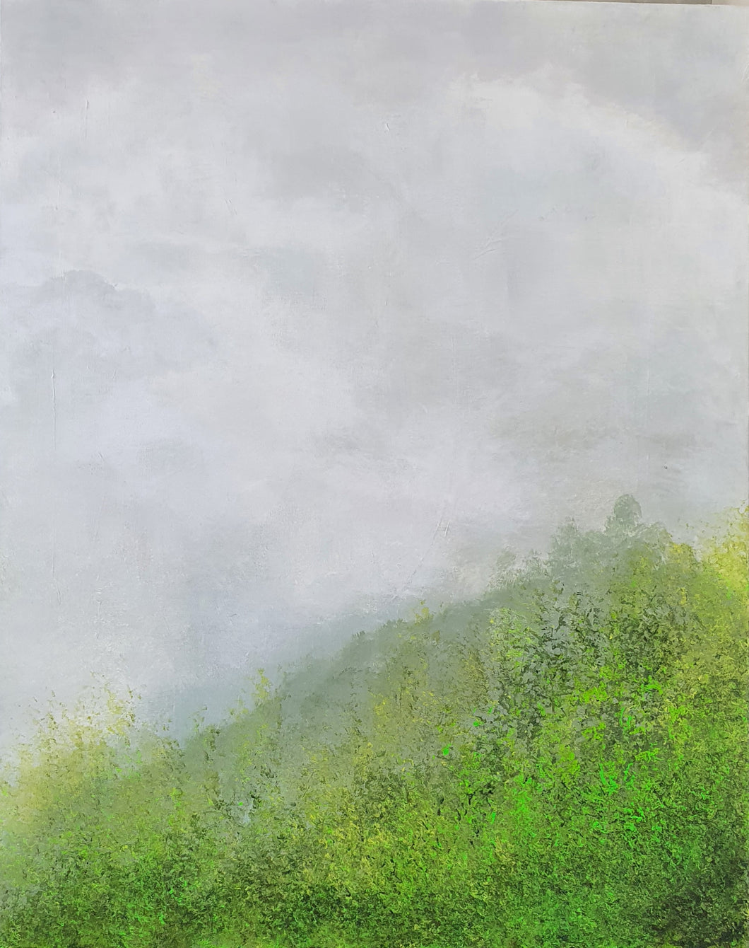 Beauty and mystery of the Landscape 6 92cm/ 73cm